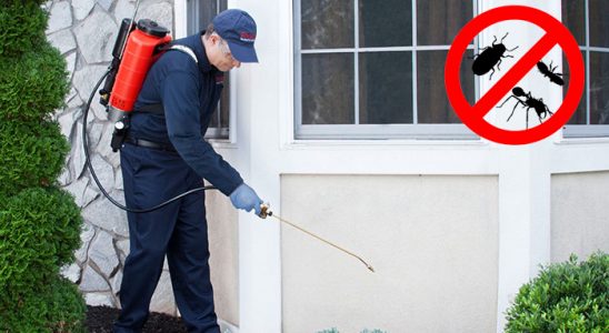 Babadağ Tahtakurusu İlaçlama böcek ilaçlama ve haşere kontrolü — ilaclama-tr.com